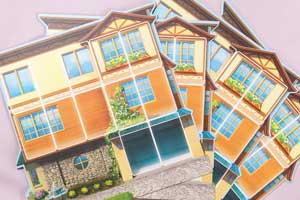 ドリームホームの内容