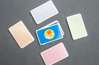 ハゲタカのえじき、プレイ前の準備