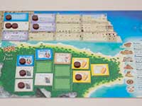 プエルトリコのゲーム風景