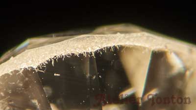 ベアデッド　ガードル