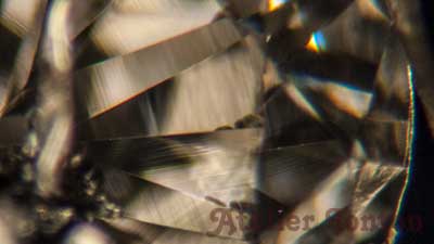 ポリッシュライン