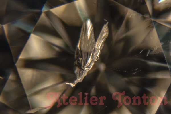 ダイヤモンド中のインクージョンのイメージ画像