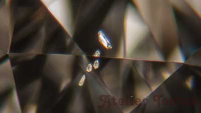 インクルージョン